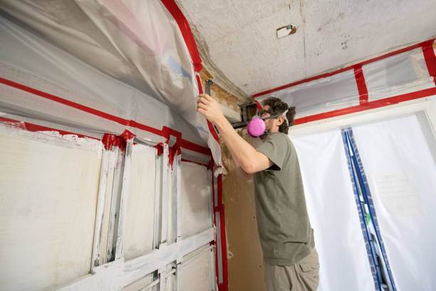 Best Emergency Mold Remediation  in North Bay Village, FL