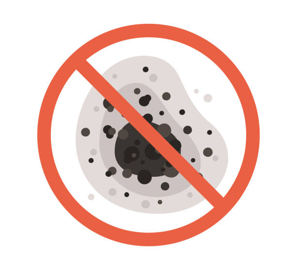Best Biohazard Mold Removal  in North Bay Village, FL
